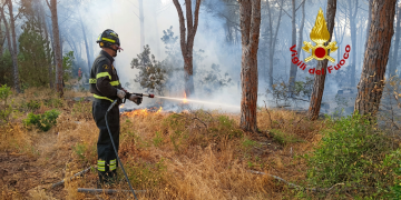 Vigile del fuoco spegne incendio in pineta con idrante, fumo e fiamme. Sardegna, incendio ancora attivo da ore ad Aglientu: è in fase di bonifica