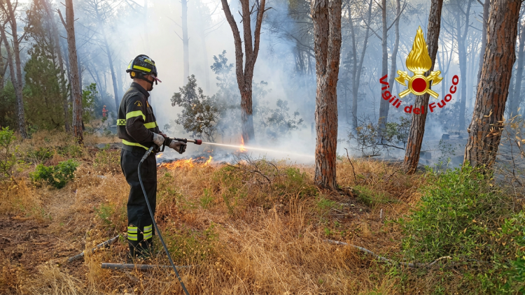 Vigile del fuoco spegne incendio in pineta con idrante, fumo e fiamme. Sardegna, incendio ancora attivo da ore ad Aglientu: è in fase di bonifica