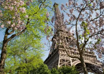Paris - The Eiffel Tower in spring - 2307