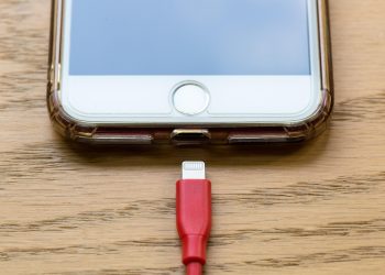 mhoppsy-apple-3595520_1280.jpg