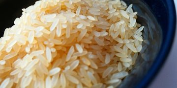 moritz320-rice-2380808_1280.jpg