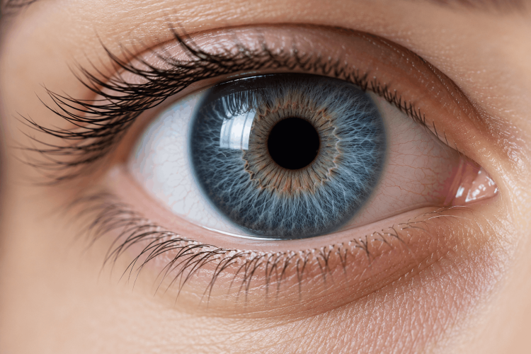 Lenti “invisibili” correggono la vista: alternativa al laser per molti difetti