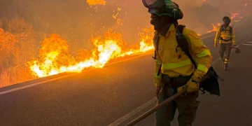Vigili del fuoco spengono incendio boschivo lungo carreggiata ad Almería