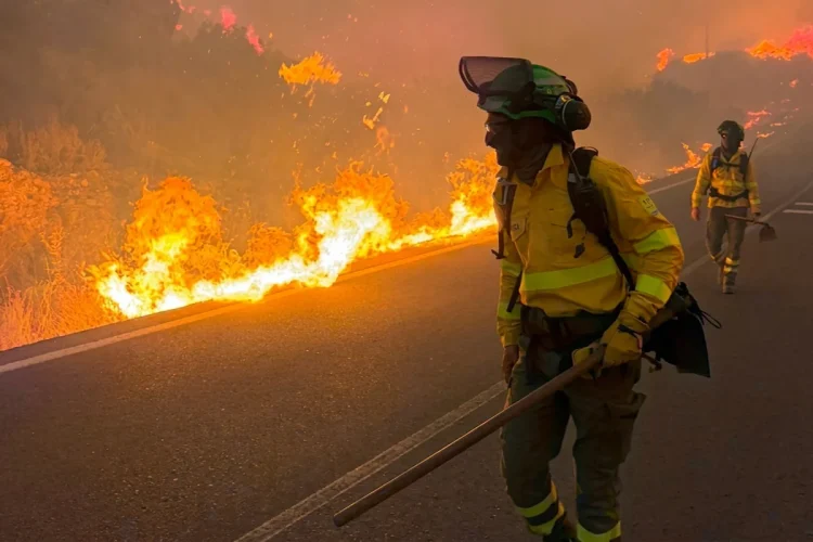 Vigili del fuoco spengono incendio boschivo lungo carreggiata ad Almería