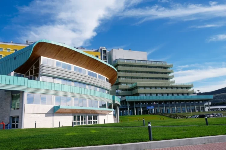 Moderna architettura universitaria con tetti curvi e prato verde, Catanzaro