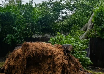 Ciclone colpisce i paesi baltici: due vittime - nella foto, i danni della pioggia a Riga