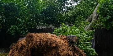 Ciclone colpisce i paesi baltici: due vittime - nella foto, i danni della pioggia a Riga