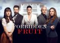 Forbidden Fruit copertina