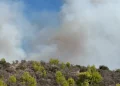 Incendio Salamis, due morti: rogo nelle High Fens con elicotteri