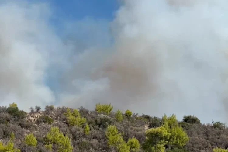 Incendio Salamis, due morti: rogo nelle High Fens con elicotteri