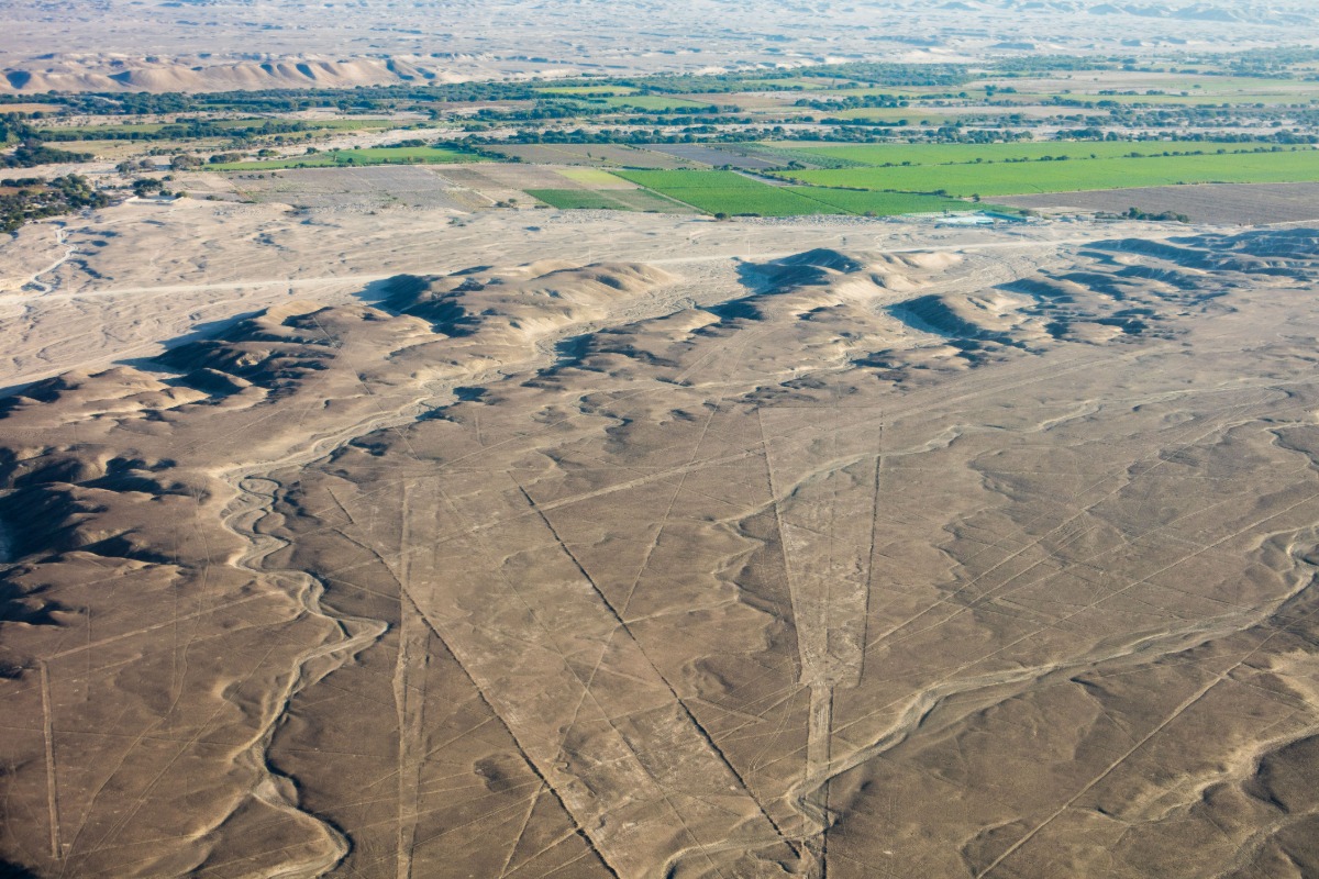 Líneas de Nazca, Nazca, Perú, 2015-07-29, DD 41.JPG