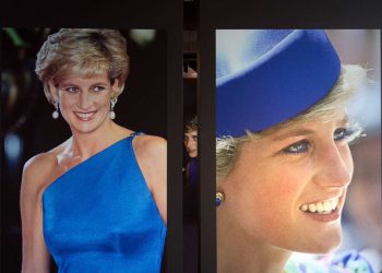 Lady D