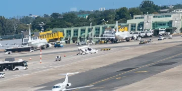 Un frame del video dello schianto: panda contro aereo a Linate