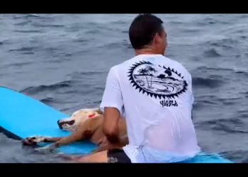 Il surfista Diego Jimenez dà l'addio a Thai nelle acque della Costa Rica