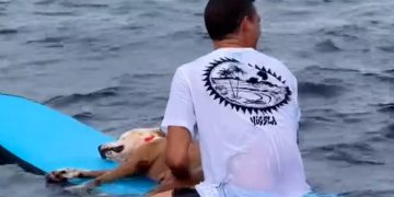Il surfista Diego Jimenez dà l'addio a Thai nelle acque della Costa Rica