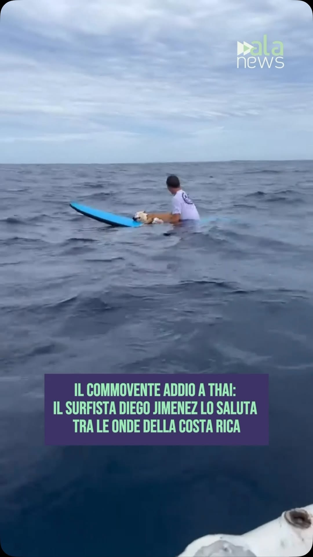 Un ultimo saluto tra le onde. A Santa Teresa, in Costa Rica, il surfista Diego…
