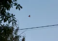 Un piccolo drone rosso vola solitario nel cielo azzurro.