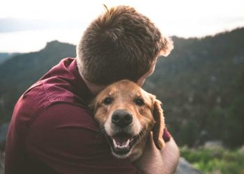 Cane e padrone