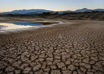 Terreno secco e crepato con pozzanghera, segno di siccità severa.