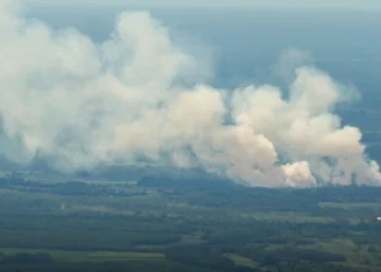 Fumo denso si innalza sopra la foresta amazzonica in fiamme.