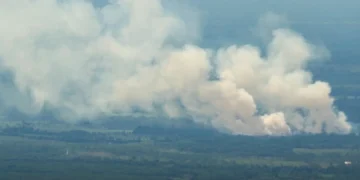 Fumo denso si innalza sopra la foresta amazzonica in fiamme.