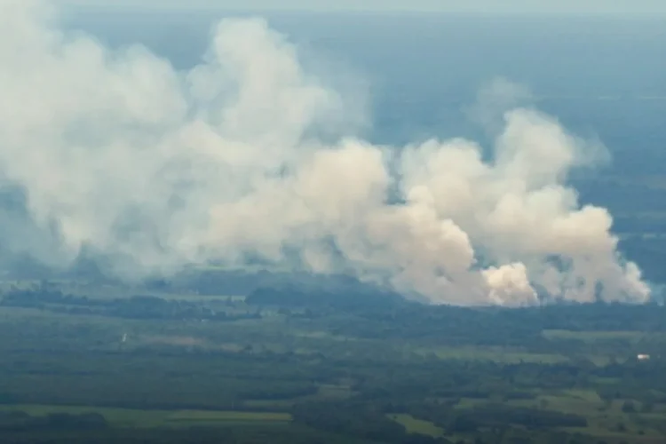 Fumo denso si innalza sopra la foresta amazzonica in fiamme.