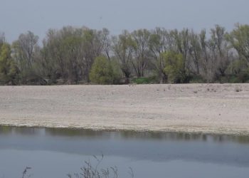 Crisi idrica in Veneto, fiumi ai minimi: Adige, Po e Bacchiglione in forte sofferenza