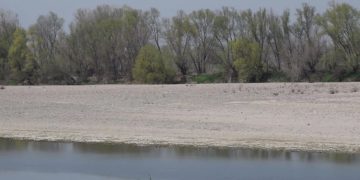 Crisi idrica in Veneto, fiumi ai minimi: Adige, Po e Bacchiglione in forte sofferenza
