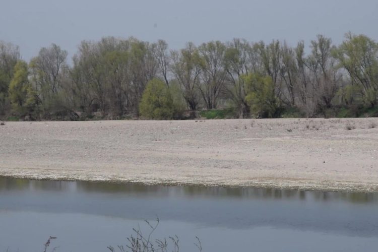 Crisi idrica in Veneto, fiumi ai minimi: Adige, Po e Bacchiglione in forte sofferenza
