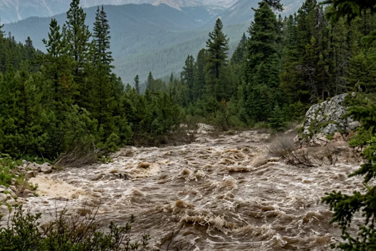 Fiume in piena tra conifere e montagne rocciose sotto cielo nuvoloso in Val di Fassa