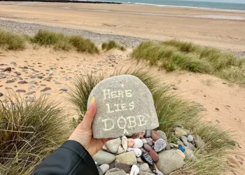 I fan di Harry Potter hanno deviato un cavo sottomarino: scoppia il caso per la tomba di Dobby