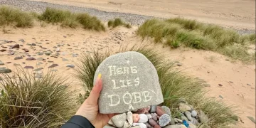 I fan di Harry Potter hanno deviato un cavo sottomarino: scoppia il caso per la tomba di Dobby