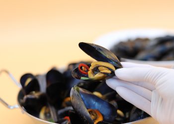 lallakim-mussels-7203218_1280.jpg
