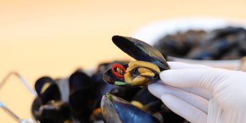 lallakim-mussels-7203218_1280.jpg