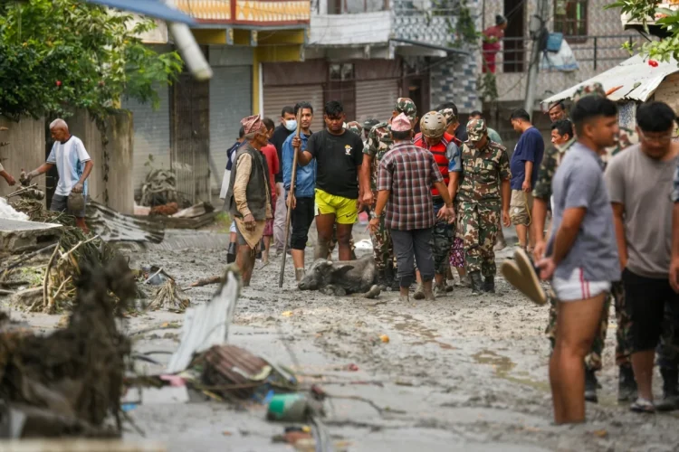 Persone in strada fangosa con bufalo morto dopo alluvione Nepal