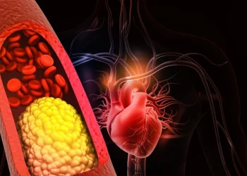 Nuove linee guida 2026 sul colesterolo obiettivi più bassi per molti