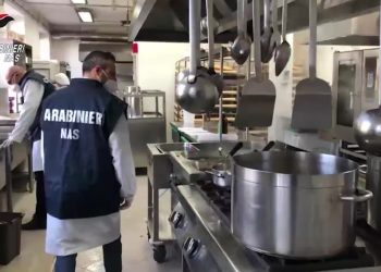 Escrementi e blatte nelle mense degli ospedali, Nas chiudono 7 cucine