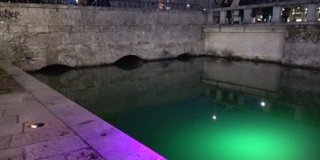 Gasolio nel Naviglio: Milano in corsa contro il tempo per salvare la fauna