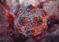 Hantavirus