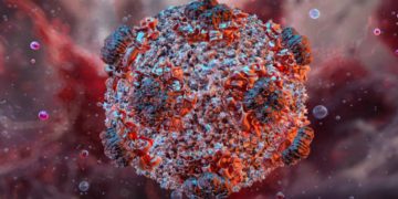 Hantavirus