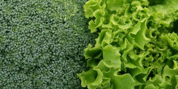 L'insalata in busta sta sparendo dai supermercati: possibili rincari per i prodotti della "quarta gamma"