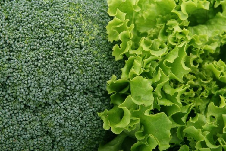 L'insalata in busta sta sparendo dai supermercati: possibili rincari per i prodotti della "quarta gamma"