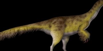 Kayrasaurus TD.png