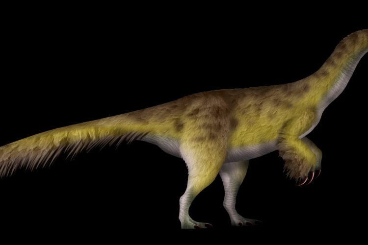 Kayrasaurus TD.png