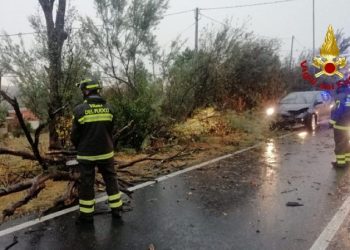 MARCHE, MALTEMPO NELLE PROVINCE DI ANCONA, PESARO URBINO E MACERATA DA IERI SVOLTI 160 INTERVENTI DAI VIGILI DEL FUOCO.jpg