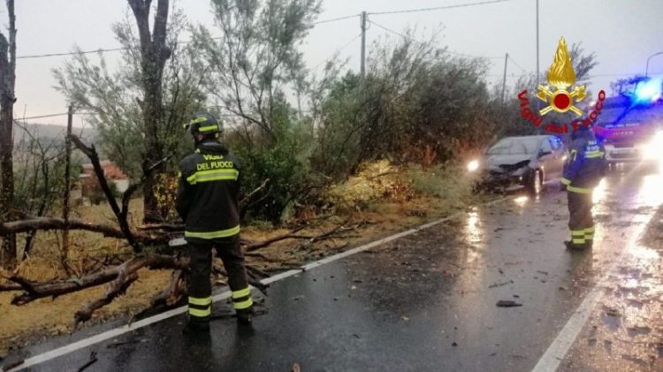MARCHE, MALTEMPO NELLE PROVINCE DI ANCONA, PESARO URBINO E MACERATA DA IERI SVOLTI 160 INTERVENTI DAI VIGILI DEL FUOCO.jpg
