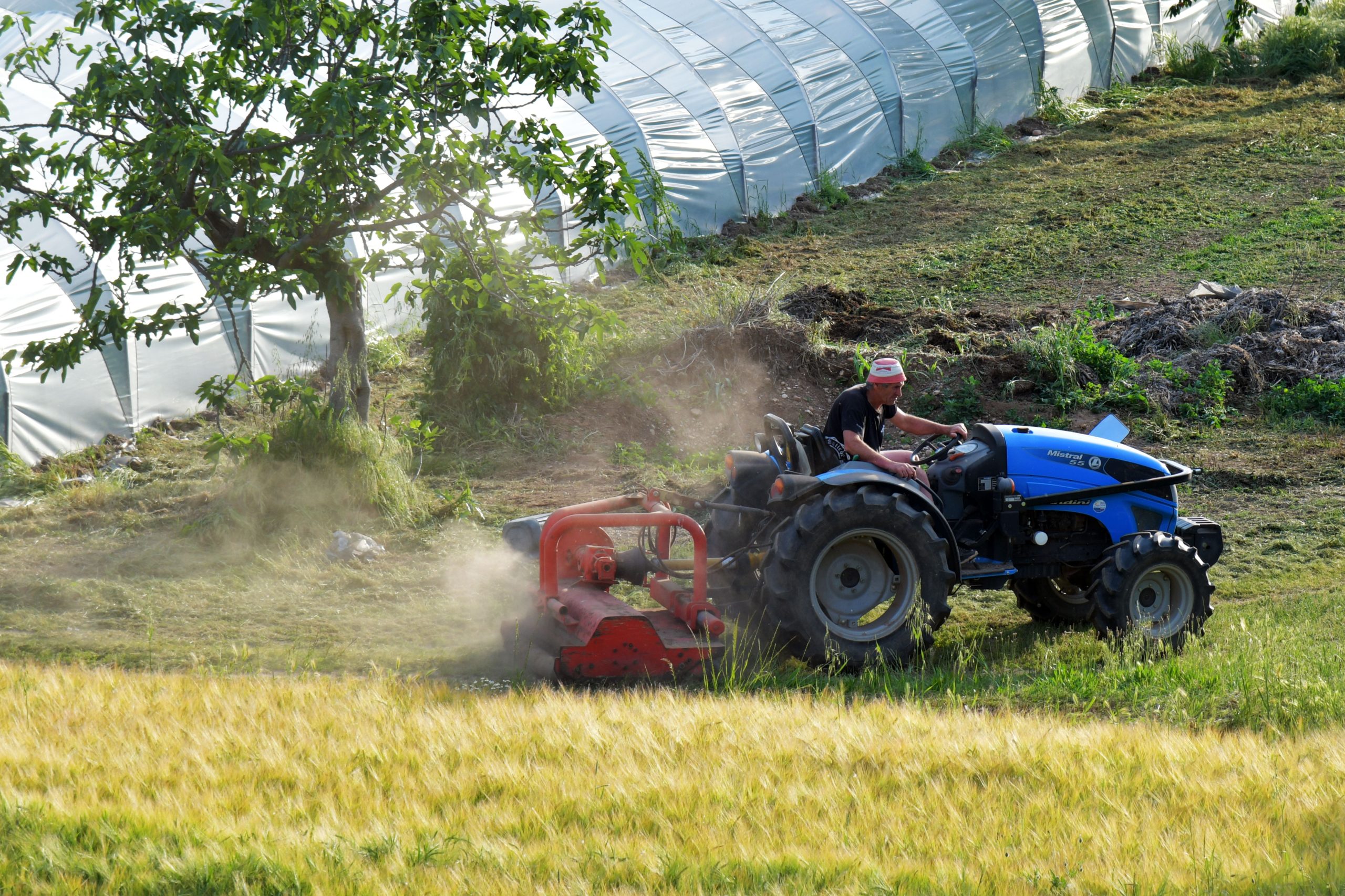 Incidente sul lavoro in Sicilia, muore incastrato in una mietitrice: un ferito grave