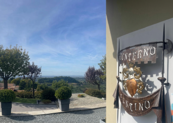 Insegna Cantina Conterno Fantino nelle colline del Barolo, Cuneo. Maxi furto di Barolo: in tre ore sottratte 3mila bottiglie nelle Langhe