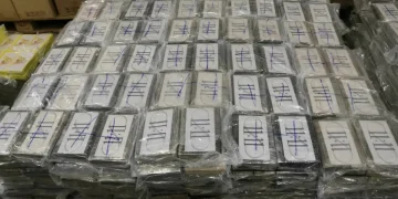 Numerosi panetti di droga sigillati in plastica trasparente, impilati