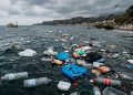 La proposta della Commissione Teologica: il peccato ecologico